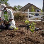 Coming soon: A Dolphin Heights community gardener in residence